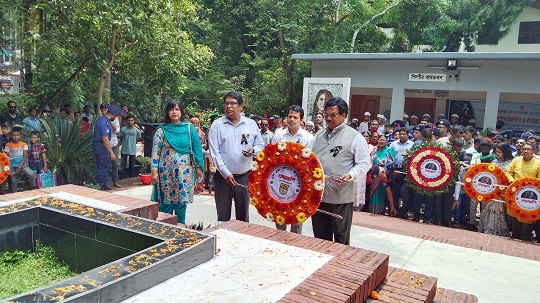 image-here